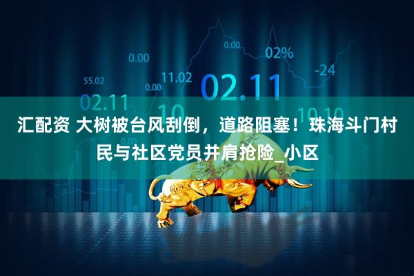 汇配资 大树被台风刮倒，道路阻塞！珠海斗门村民与社区党员并肩抢险_小区