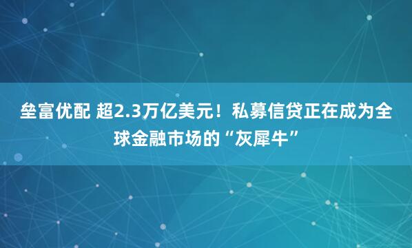 垒富优配 超2.3万亿美元！私募信贷正在成为全球金融市场的“灰犀牛”