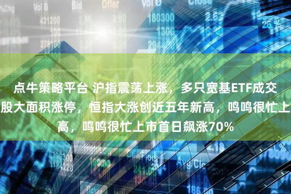 点牛策略平台 沪指震荡上涨，多只宽基ETF成交再刷天量，金银股大面积涨停，恒指大涨创近五年新高，鸣鸣很忙上市首日飙涨70%